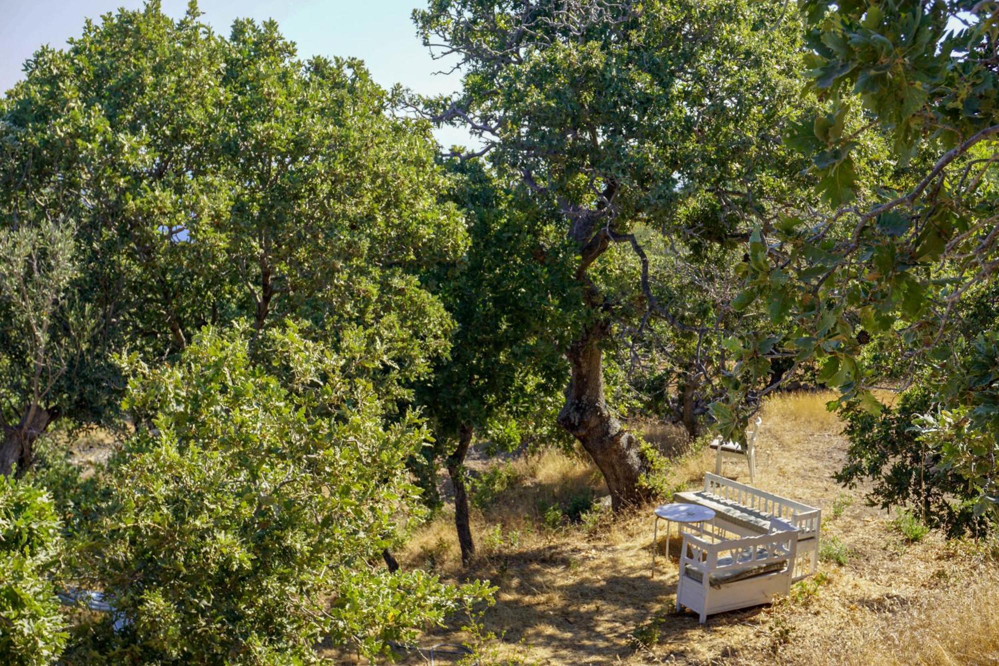 My Old Stone House In A 2 000 Sqm Private Garden With Fab Glamping Tent Mandrákion Exterior foto